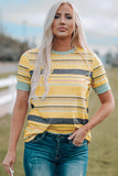 Multicolor Stripes Crew Neck T Shirt