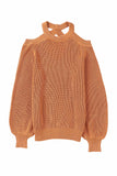 Brown Crew Neck Cold Shoulder Hollow-out Back Sweater