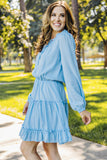 V Neck Long Sleeve Ruffle Tiered Mini Dress