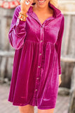 Rose Long Sleeve Ruffle Velvet Button Up Dress